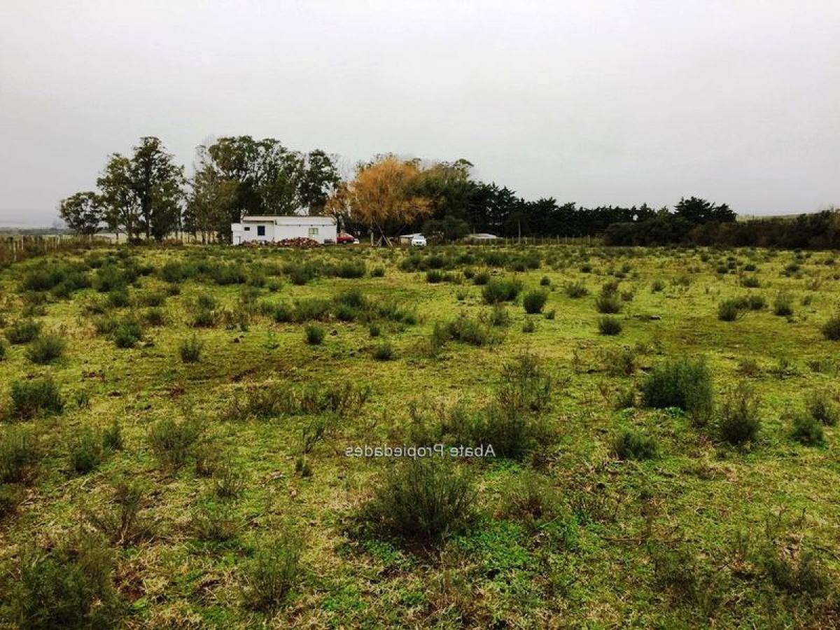 Studio in Maldonado, Uruguay No. 11521