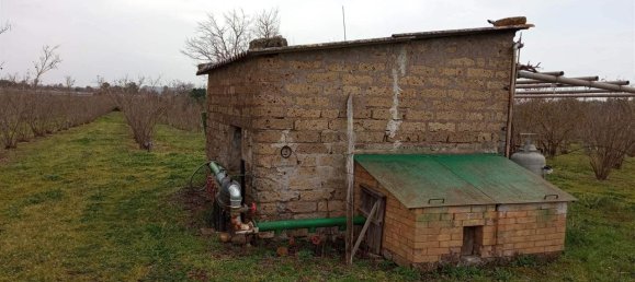 17500m² Land in Vetralla, Italy No. 153946 6