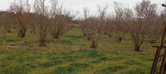 17500m² Land in Vetralla, Italy No. 153946 2