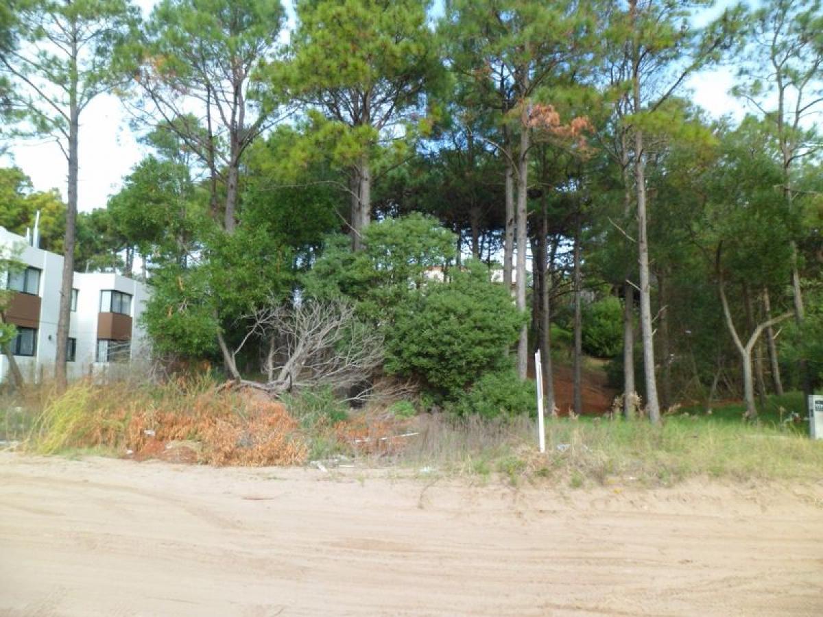 Grundstück in Mar del Plata, Argentina, Nr. 112606