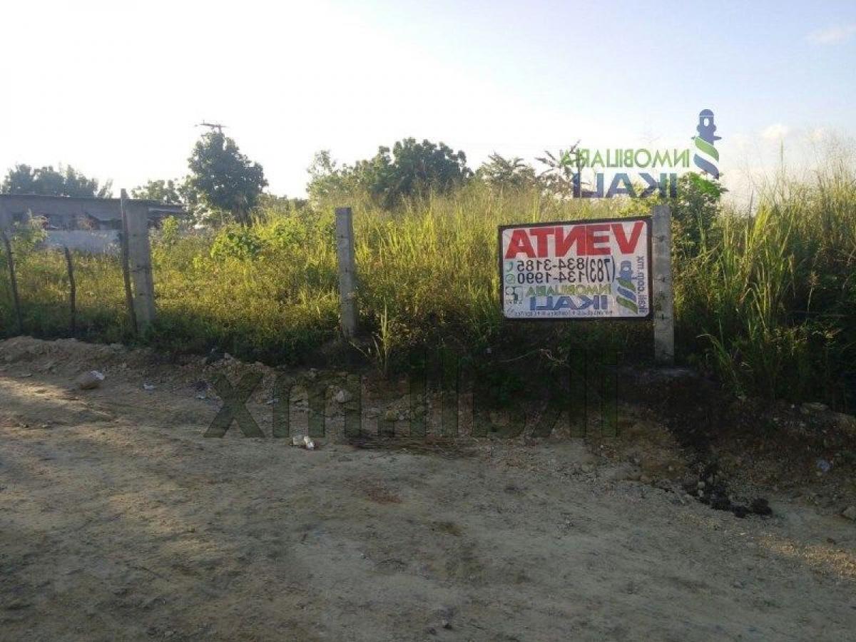  Land in Veracruz, Mexico No. 206719