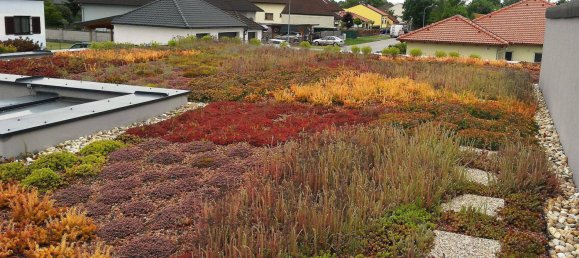 3 bedrooms House in Zurndorf, Austria No. 156640 21