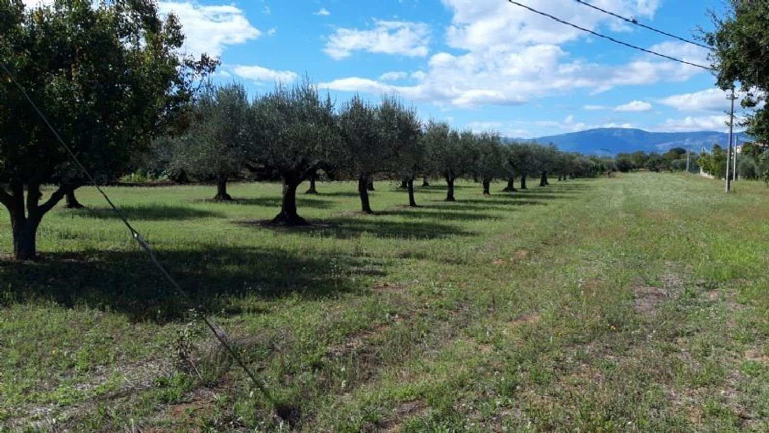 Terreno en Cepagatti, Italy 3805 m² No. 76452