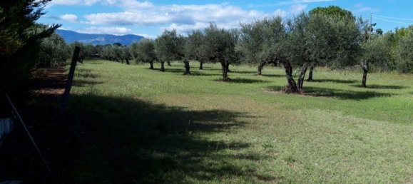 Terreno en Cepagatti, Italy 3805 m² No. 76452 3