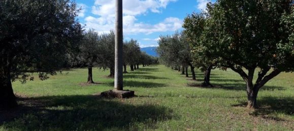 Terreno en Cepagatti, Italy 3805 m² No. 76452 2