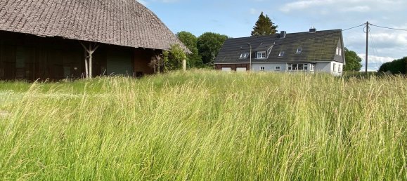  Land in Nordwestmecklenburg, Germany No. 345009 43