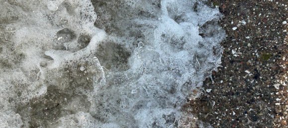  Land in Nordwestmecklenburg, Germany No. 345009 4