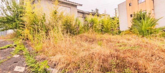 3 Schlafzimmer Haus in Amarante, Portugal, Nr. 184645 22