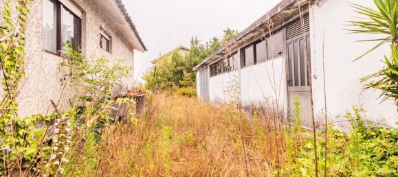 3 Schlafzimmer Haus in Amarante, Portugal, Nr. 184645 17