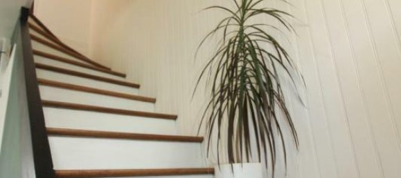 2 Schlafzimmer Haus in Servon, France, Nr. 298876 5