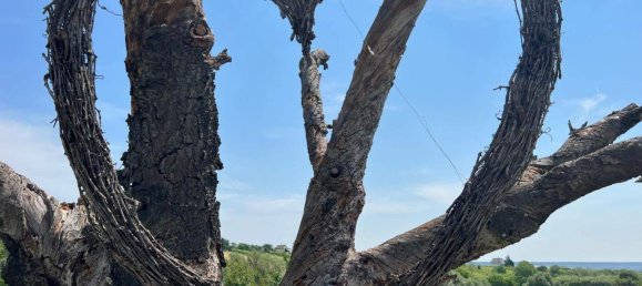 3 rooms Castles in Deutsch Schutzen-Eisenberg, Austria No. 81551 25