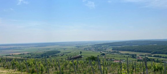 3 rooms Castles in Deutsch Schutzen-Eisenberg, Austria No. 81551 16