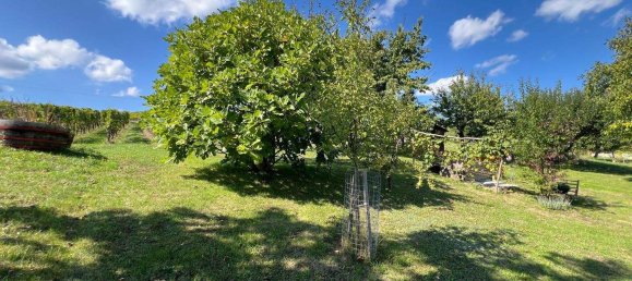 3 rooms Castles in Deutsch Schutzen-Eisenberg, Austria No. 81551 26