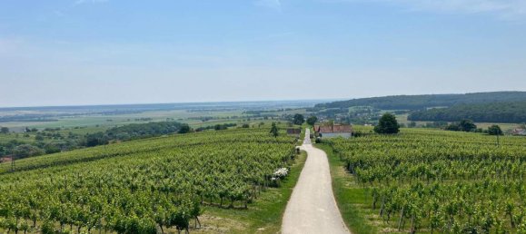 3 rooms Castles in Deutsch Schutzen-Eisenberg, Austria No. 81551 8