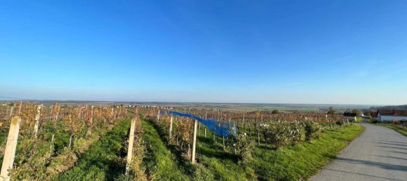 3 rooms Castles in Deutsch Schutzen-Eisenberg, Austria No. 81551 15