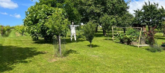 3 rooms Castles in Deutsch Schutzen-Eisenberg, Austria No. 81551 5