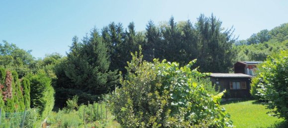  Land in Garsten, Austria No. 244049 3