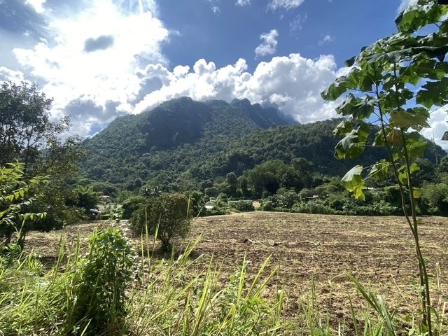 Terrain à Chiang Dao, Thailand 19200m² No. 74421