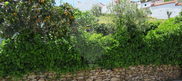 2 bedrooms House in Borba, Portugal No. 162428 3