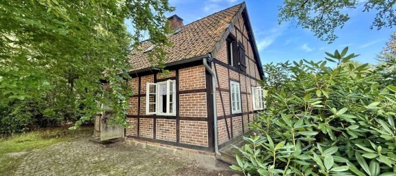 Granja de 6 dormitorios en Uelzen, Germany No. 312943 27