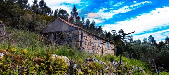 Casa de 3 dormitorios en Baiao, Portugal No. 26830 13