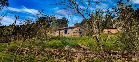 Casa de 3 dormitorios en Baiao, Portugal No. 26830 19