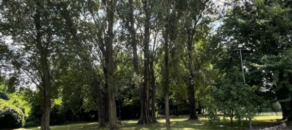  عقار تجاري في Rovigo, Italy 390متر مربع رقم 322023 14