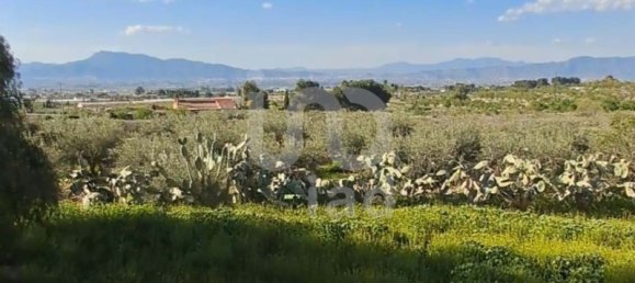 4 bedrooms House in Lorca, Spain No. 149574 4