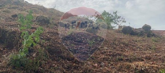 1 bedroom House in Vila Real, Portugal No. 23010 8