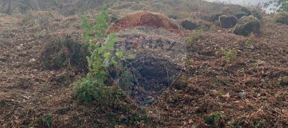 1 bedroom House in Vila Real, Portugal No. 23010 6