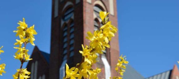 2-Zimmer Wohnung in Moabit, Germany, Nr. 42848 25