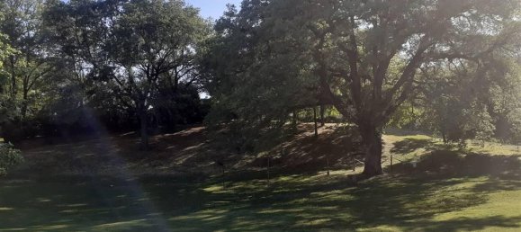 12 rooms House in Scansano, Italy No. 33574 81