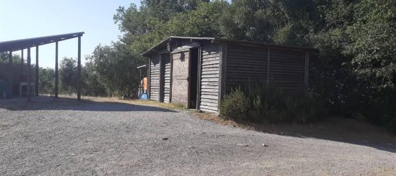 12 rooms House in Scansano, Italy No. 33574 38