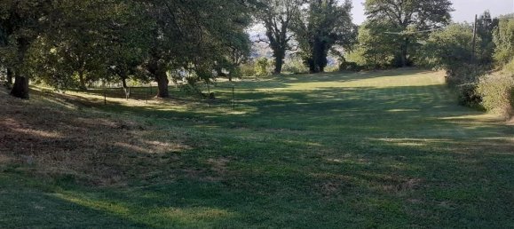 12 rooms House in Scansano, Italy No. 33574 14