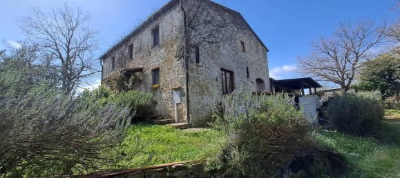 12 rooms House in Scansano, Italy No. 33574 47