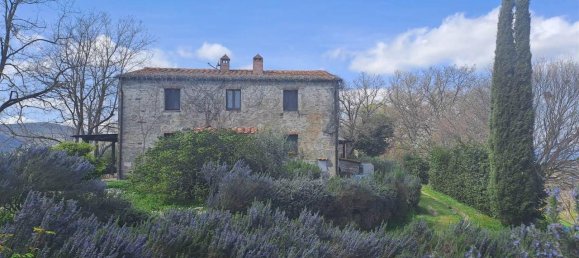 12 rooms House in Scansano, Italy No. 33574 91