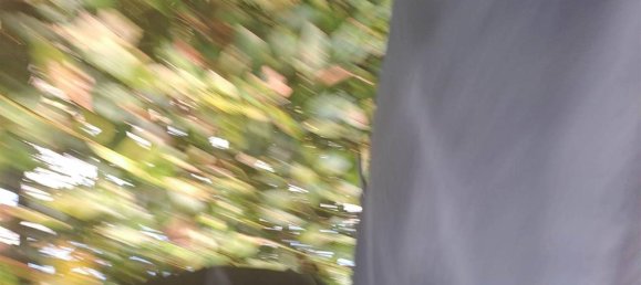 12 rooms House in Scansano, Italy No. 33574 45