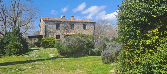 12 rooms House in Scansano, Italy No. 33574 16