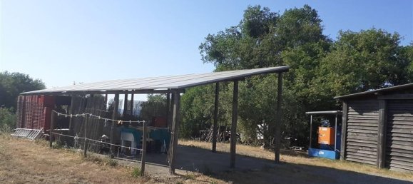 12 rooms House in Scansano, Italy No. 33574 23