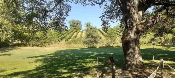 12 rooms House in Scansano, Italy No. 33574 64