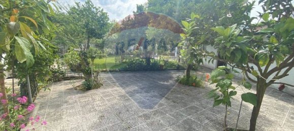 5 Schlafzimmer Haus in Felgueiras, Portugal, Nr. 16084 17