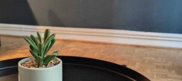 3 rooms Apartment in Favoriten, Austria No. 42442 15