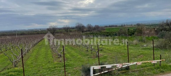 Grundstück in Cassano all'Ionio, Italy 64399m², Nr. 269989 6