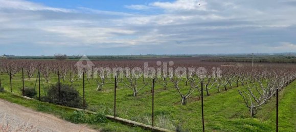 Grundstück in Cassano all'Ionio, Italy 64399m², Nr. 269989 4