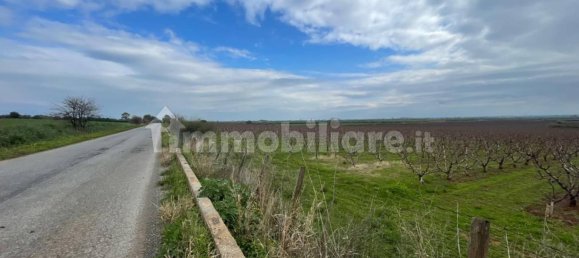 Grundstück in Cassano all'Ionio, Italy 64399m², Nr. 269989 2