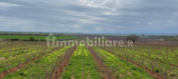 Grundstück in Cassano all'Ionio, Italy 64399m², Nr. 269989 3