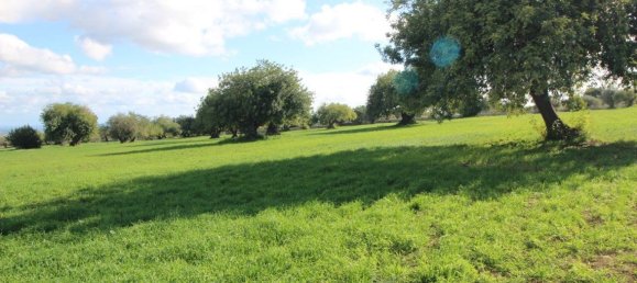 Casa de 10 dormitorios en Modica, Italy No. 360787 18