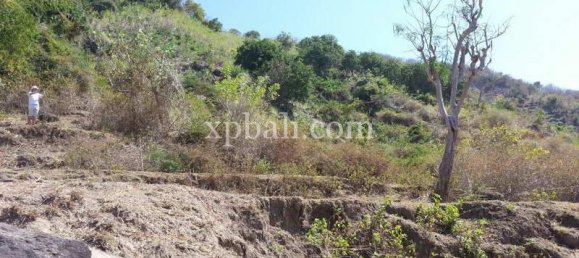  قطعة أرض في West Nusa Tenggara, Indonesia 12828متر مربع رقم 4319 10