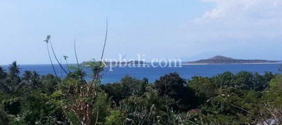  قطعة أرض في West Nusa Tenggara, Indonesia 12828متر مربع رقم 4319 11