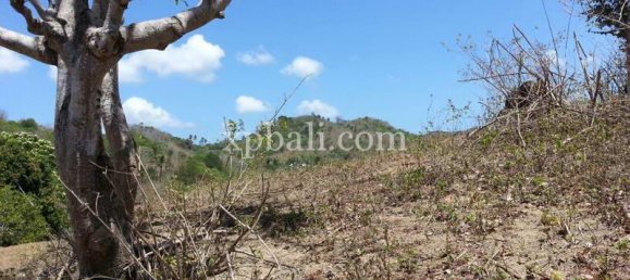  قطعة أرض في West Nusa Tenggara, Indonesia 12828متر مربع رقم 4319 7